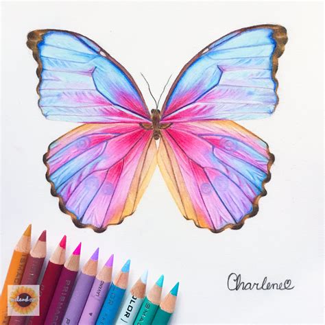 Easy Colored Pencil Drawings