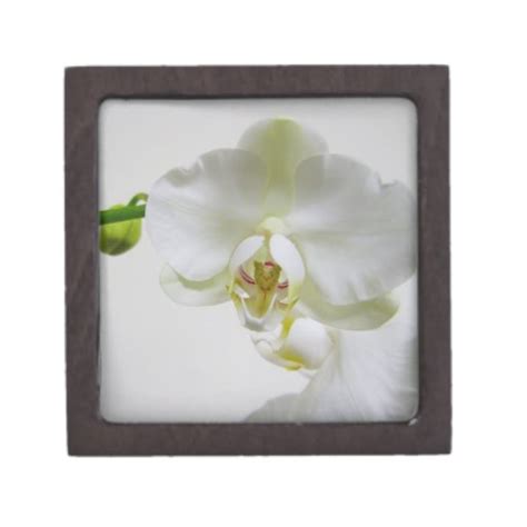 White Orchid Gift Box | Zazzle