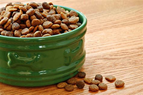 The Best Dry Dog Food For Active Dogs