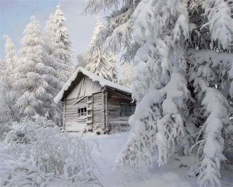 Coolest Cabins: Snowy Log Cabins