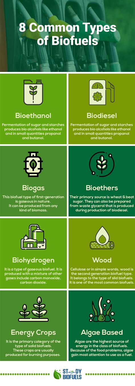 8 Types of Biofuels With Examples | Study BioFuels