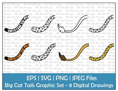 Cat Tail Drawing