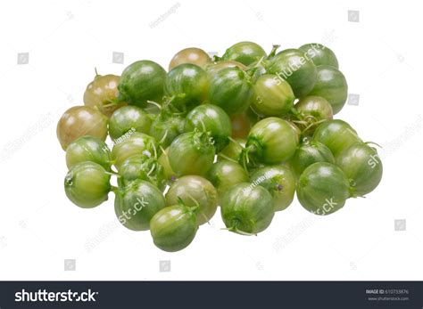 11,997 Coriander Fruit Images, Stock Photos & Vectors | Shutterstock