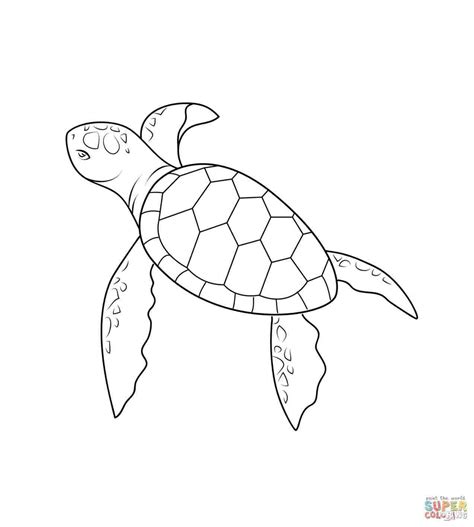 Cute Sea Turtle Drawing at PaintingValley.com | Explore collection of ...