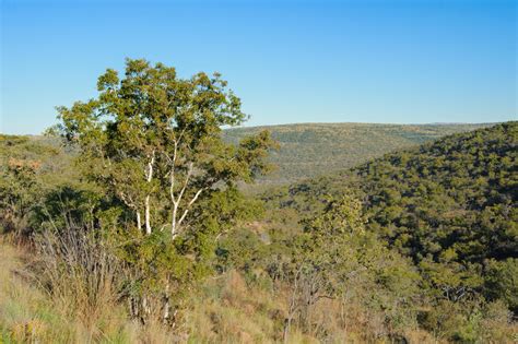 Modimolle, Limpopo, South Africa