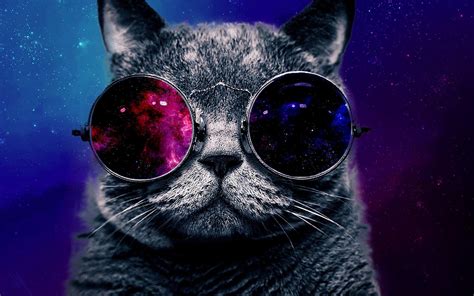 Glasses Cat Galaxy Wallpapers - Top Free Glasses Cat Galaxy Backgrounds ...