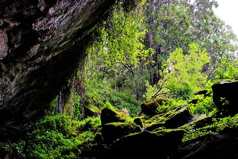 Mount Elgon National Park