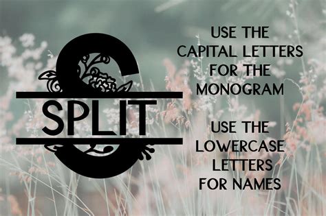 Floral Split Font - A Monogram Font (131716) | Monogram | Font Bundles