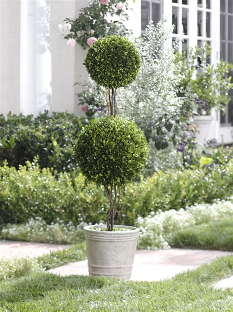 Outdoor Boxwood Artificial Topiary Balsam Hill | ubicaciondepersonas ...