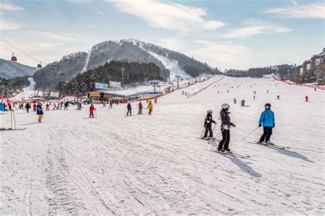 7 Winter Festivals in South Korea for Snow Activities, Street Food & More!