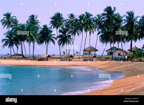 Tropical beach near Tabou, Cote d'Ivoire Stock Photo: 904728 - Alamy