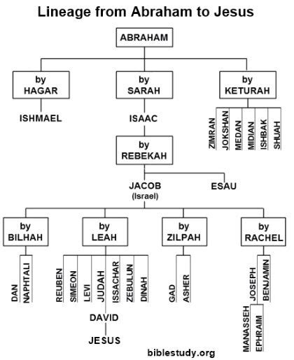 Abraham's Family Tree Large Chart | Bible family tree, Family tree ...