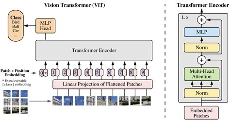 GitHub - Ryukijano/Pytorch-Vision-Transformer: Vision Transformer ...