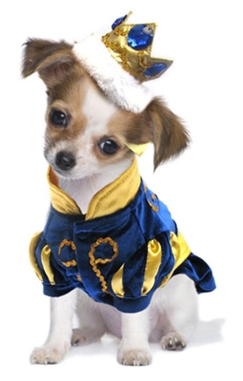 Prince Charming Costume