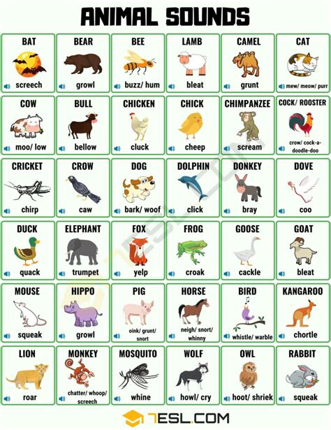 List of Animal Sounds in English with Pictures • 7ESL