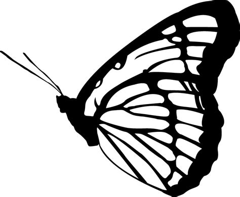 Free Butterfly Vector Art, Download Free Butterfly Vector Art png ...