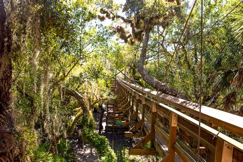 Myakka River State Park — LemonHearted