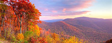 Smoky Mountains Fall Foliage