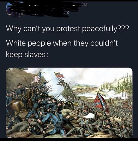 Peaceful protests. : r/PoliticalHumor