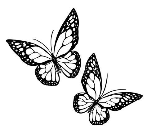 Butterfly Vector Silhouette