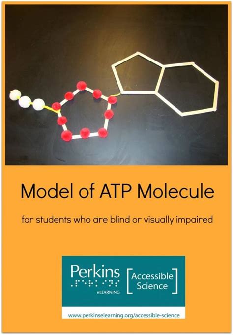 Model of ATP Molecule – Perkins School for the Blind