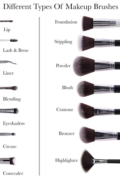 14 Different Types of Makeup Brushes And Their Uses | Guide