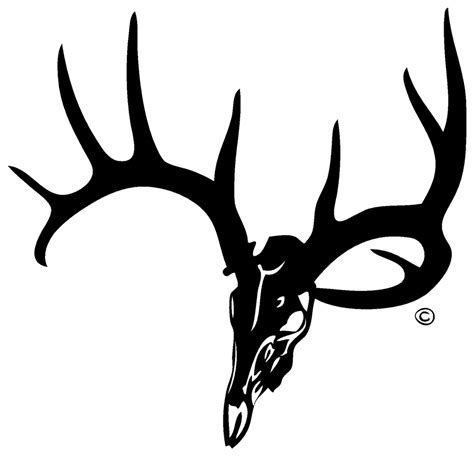 buck deer skull clip art 20 free Cliparts | Download images on ...