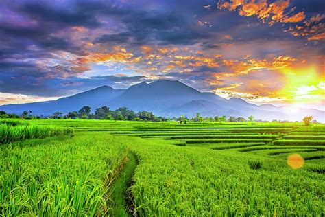 Landscape Photography Beauty Morning With Sunrise At Paddy Fields On ...