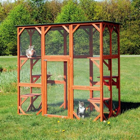 Ultimate Guide to Outdoor Cat Enclosures - Foter