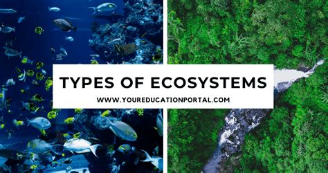 Types of Ecosystems | Structure, Type and Characteristics