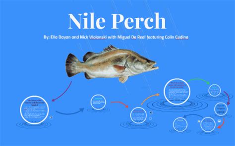 Nile Perch Invasive Species