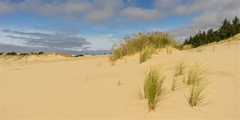 Oregon Dunes Loop Hike | Outdoor Project