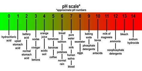 pH Scale | sciencesummative