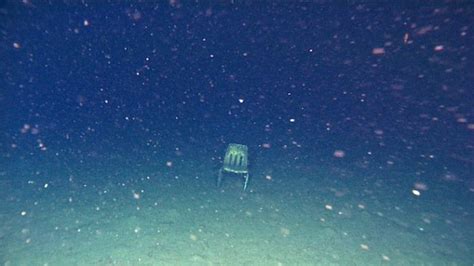 Creepy Sea Photos That Will Give You Thalassophobia (18 pics)