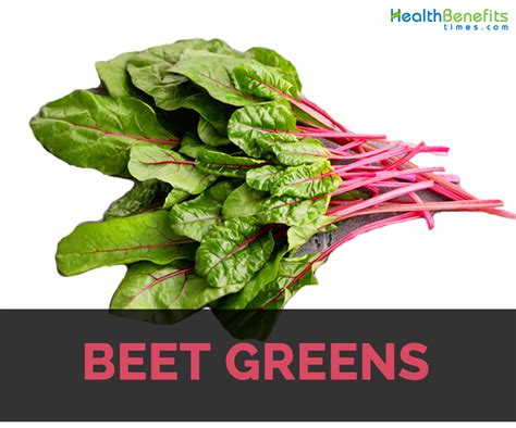 Beet Greens Facts, Health Benefits and Nutritional Value