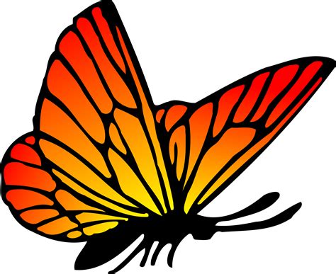 Red Orange Butterfly vector clipart image - Free stock photo - Public ...