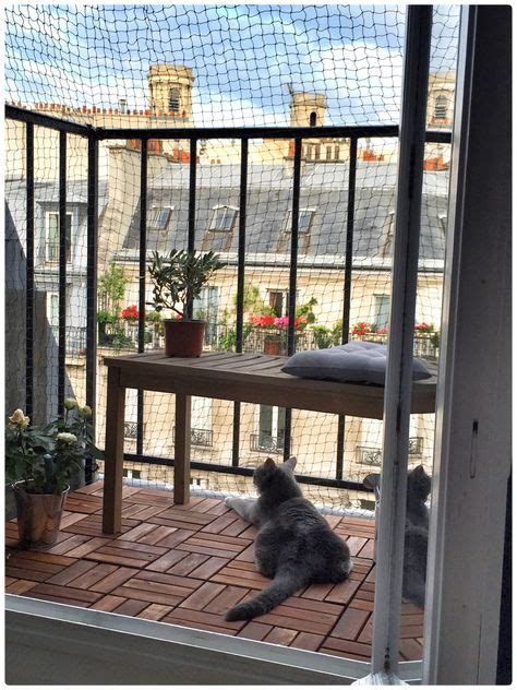 Balcony Catios: The Purrfect Solution For Cats That Live In Apartments ...