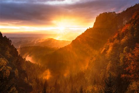 Forest Valley Day Starting Calming Sunrise 5k Wallpaper,HD Nature ...