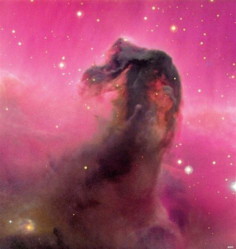 Horsehead Nebula - Alchetron, The Free Social Encyclopedia