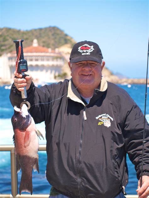 California Sheephead - Pier Fishing in California