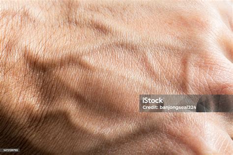 Macro Human Hand Skin Macro Human Hand Texture The Texture Of The Skin ...