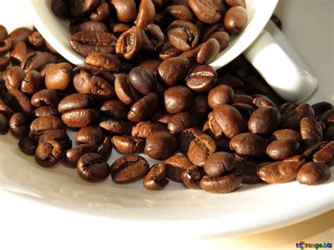 Organic coffee beans free image - № 32279