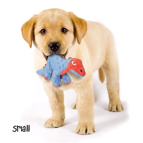 goDog Dino Stegosaurus Dog Toy with Chew Gua... | BaxterBoo