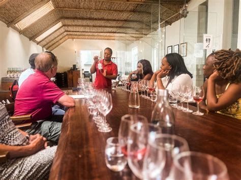 Uncorking the 15 best Cape Town wine tours