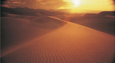 Sahara Desert Temperature Extremes: Unveiling the Top 5 Exciting Facts ...