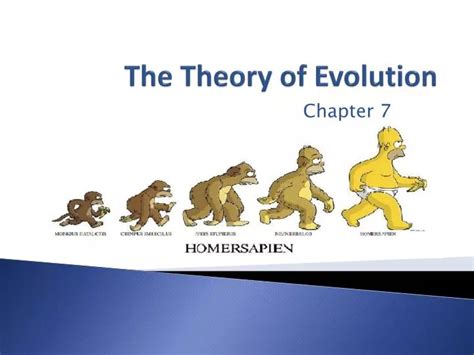 PPT - The Theory of Evolution PowerPoint Presentation, free download ...