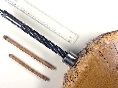 Dendrochronology | Tree-Ring Dating, Climate Change & Archaeology ...