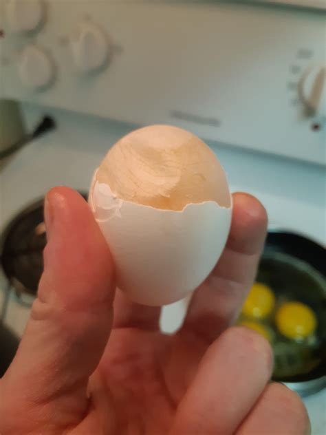 This egg's membrane remained intact : mildlyinteresting