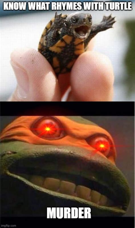 Ninja Turtle Meme Generator