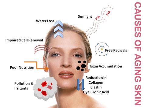 Main Causes of Aging Skin | What Do Your Skin Symptoms Tell You?